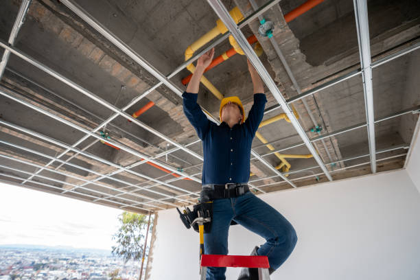 Best Residential Plumbing Services  in Cherry Grove, OH